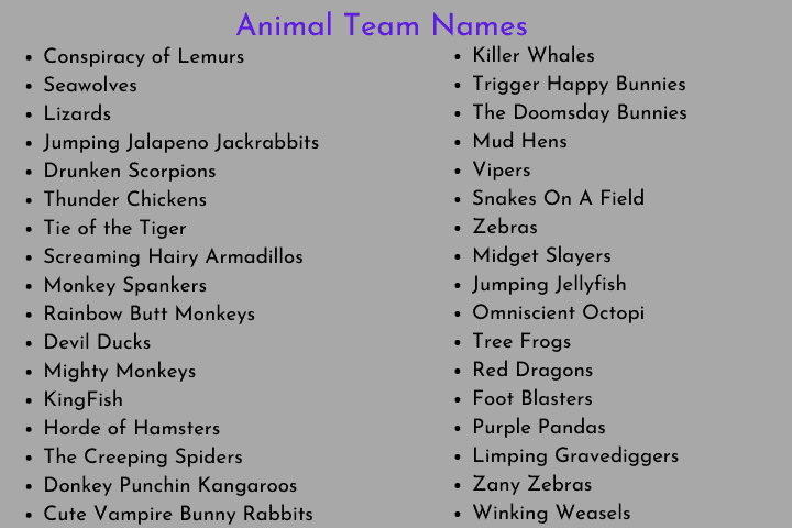 Animal Team Names