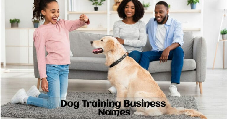 Dog Training Business Names