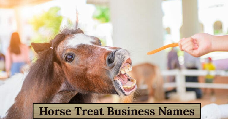 Horse Treat Business Names