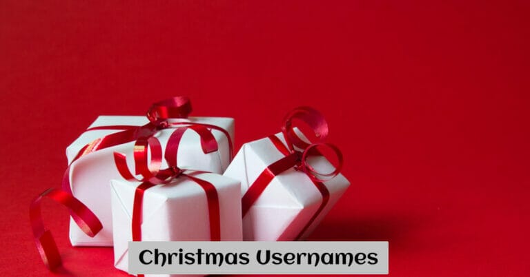 Christmas Usernames