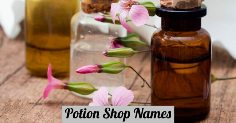 Potion Shop Names