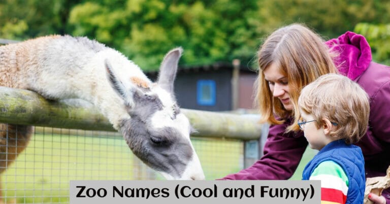 Zoo Names