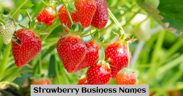 Strawberry Business Names