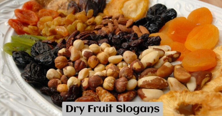 Dry Fruit Slogans