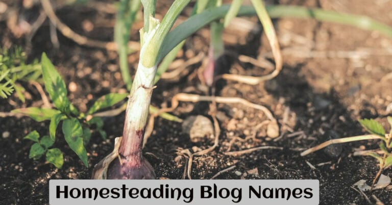 Homesteading Blog Names