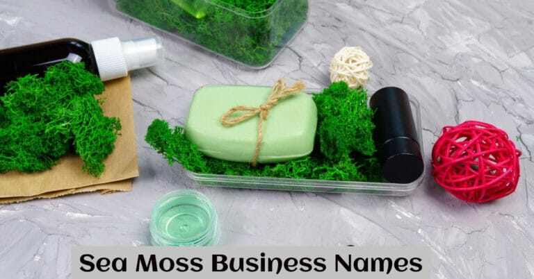 Sea Moss Business Names