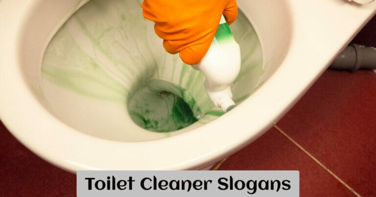 Toilet Cleaner Slogans