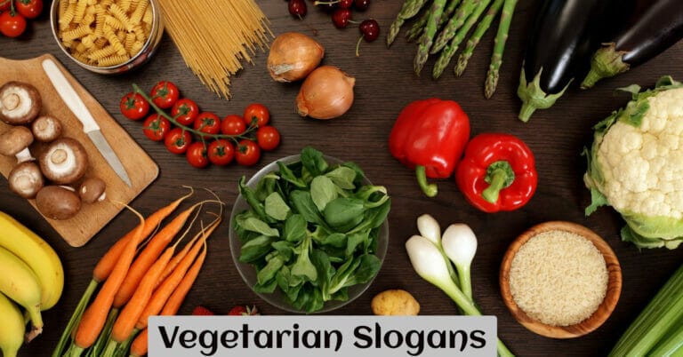 Vegetarian Slogans