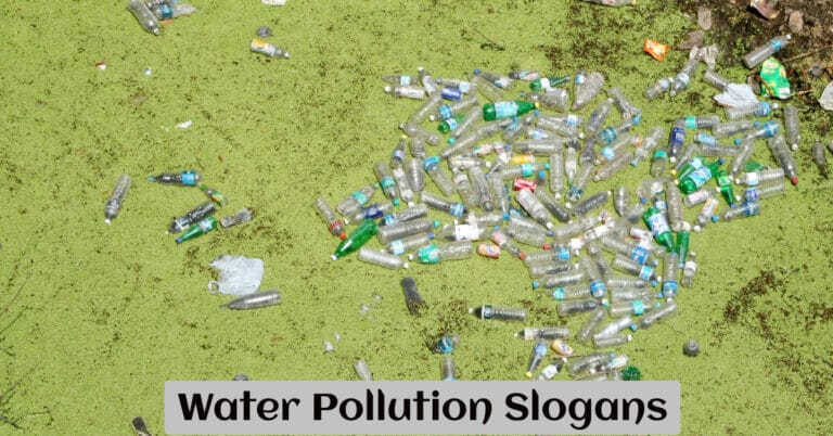 Water Pollution Slogans