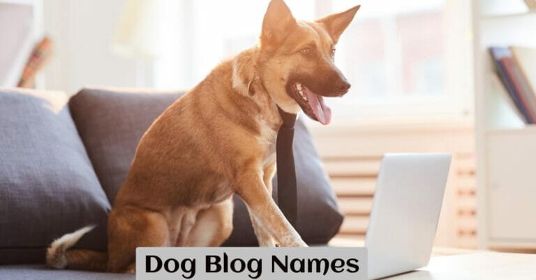 Dog Blog Names