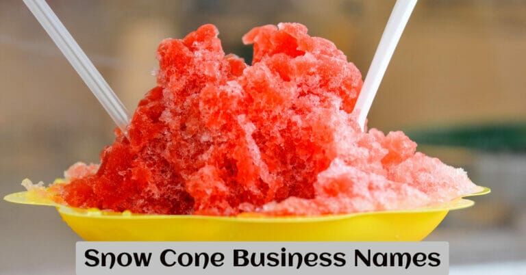 Snow Cone Business Names