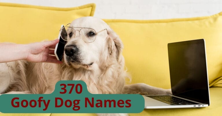 Goofy Dog Names