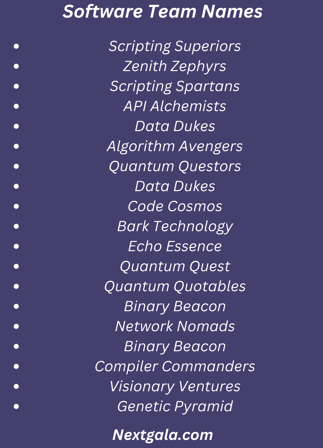Software Team Names