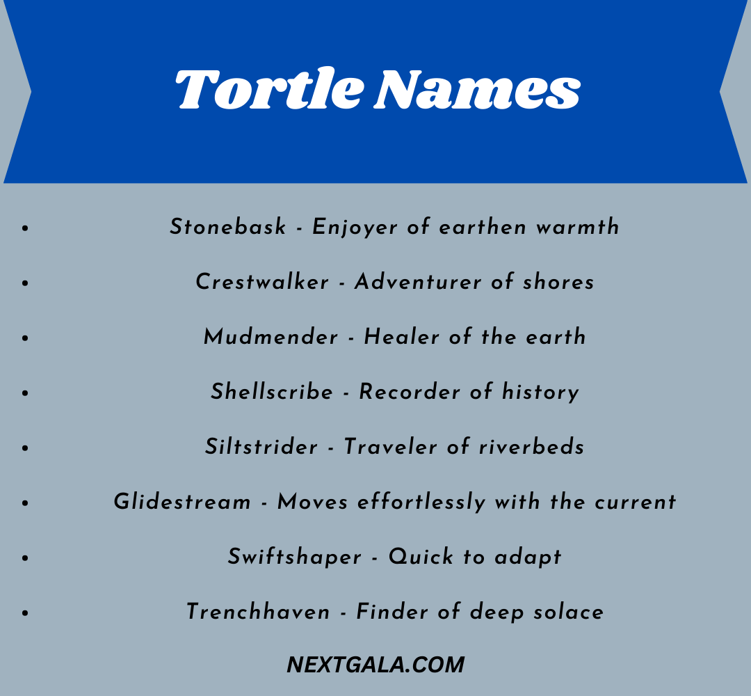 Tortle Names