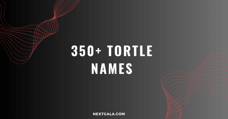 Tortle Names